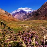 Mendoza: Tierra de Sol y Buen Vino